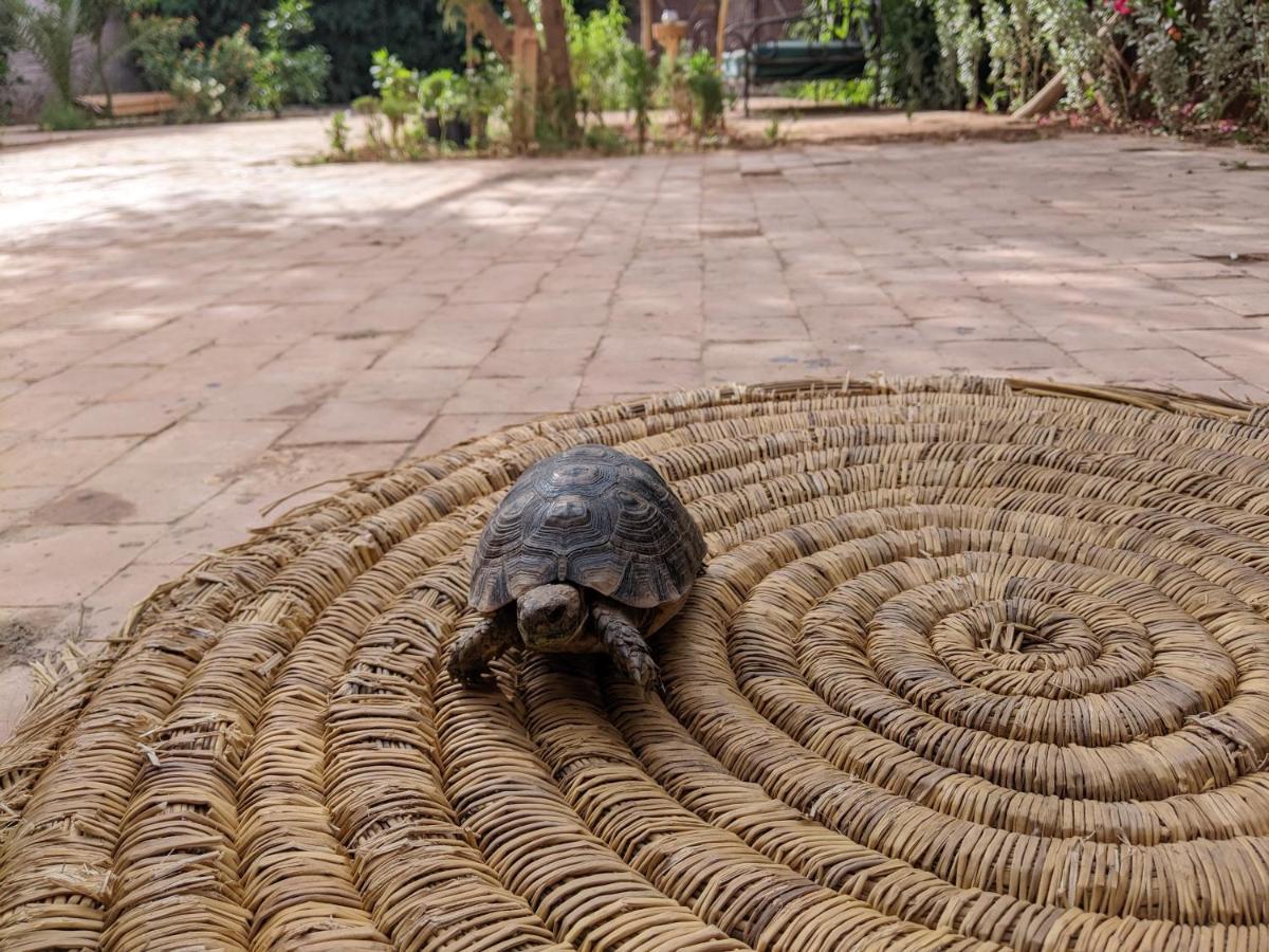 Dar Saafia Villa Marrakesh Ngoại thất bức ảnh